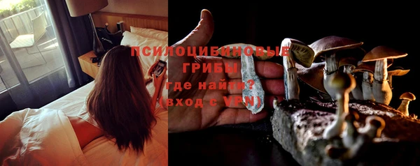 альфа пвп Няндома
