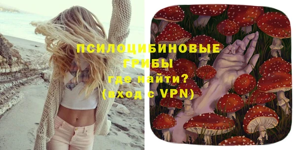 альфа пвп Няндома