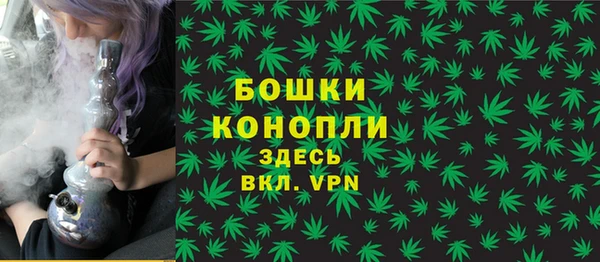 дживик Нязепетровск