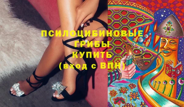 дживик Нязепетровск